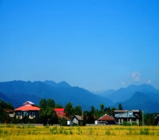 بازار املاک شمال و تحلیل آن